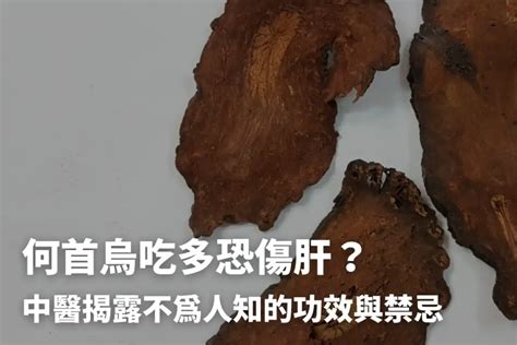 何首烏禁忌|何首烏什麼人不能吃？養生補品何首烏的功效與副作用 – 樂語雅閣